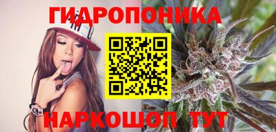 ГАЛЛЮЦИНОГЕННЫЕ ГРИБЫ Будённовск