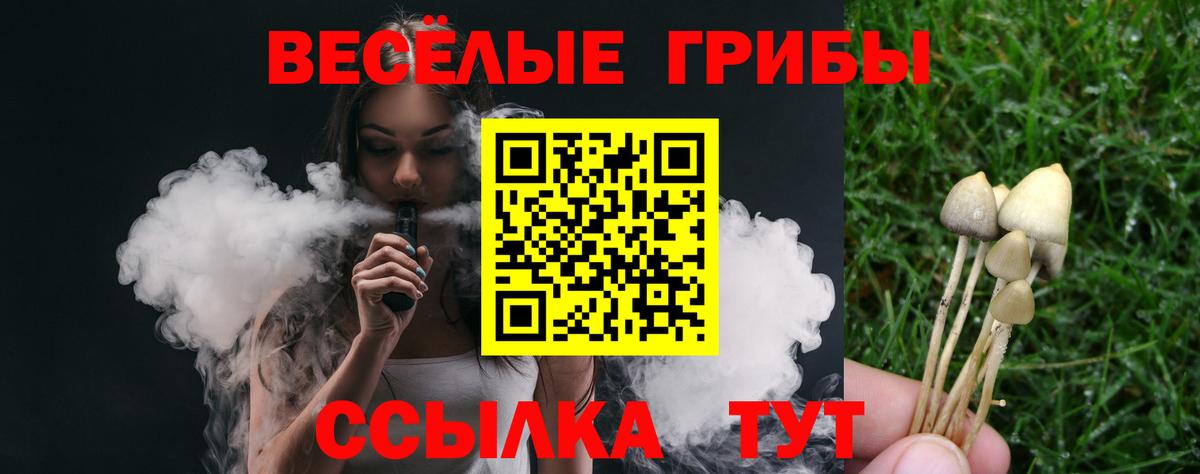 Псилоцибиновые грибы мухоморы Ярцево